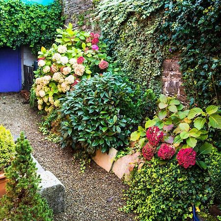 Byrnes Wine Dine Stay Ennistimon Dış mekan fotoğraf