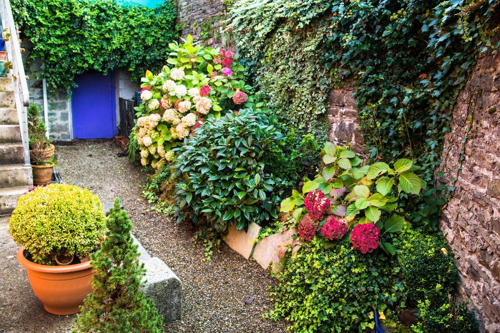 Byrnes Wine Dine Stay Ennistimon Dış mekan fotoğraf