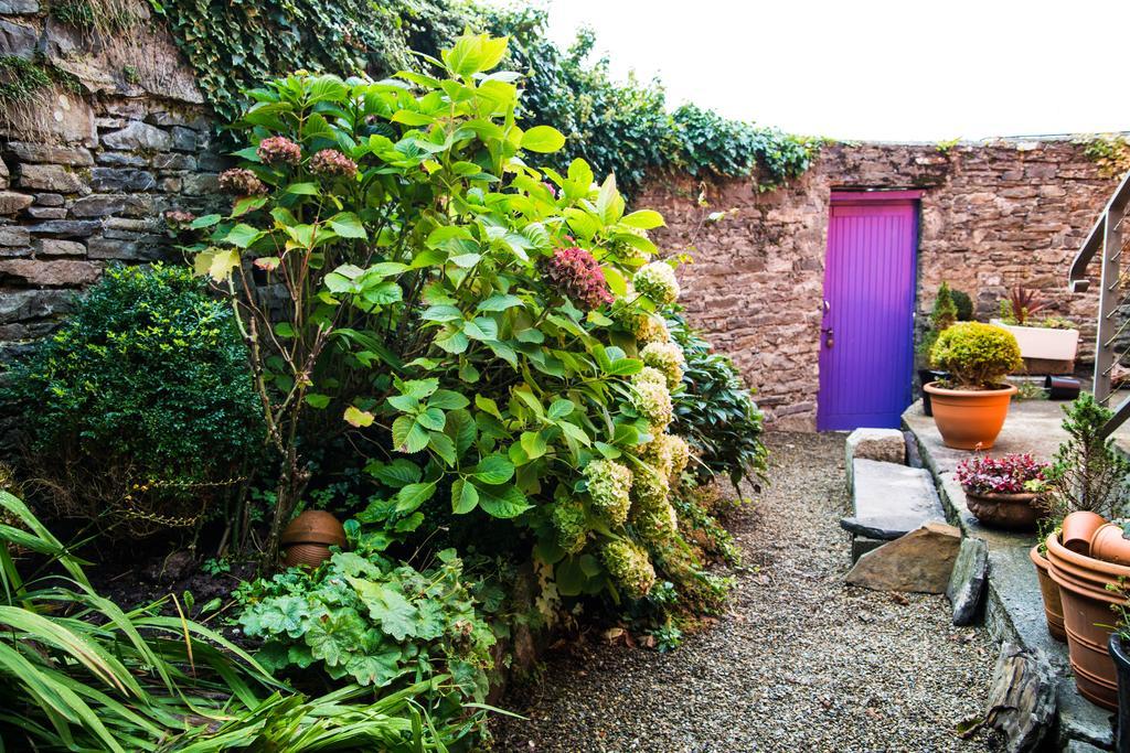 Byrnes Wine Dine Stay Ennistimon Dış mekan fotoğraf